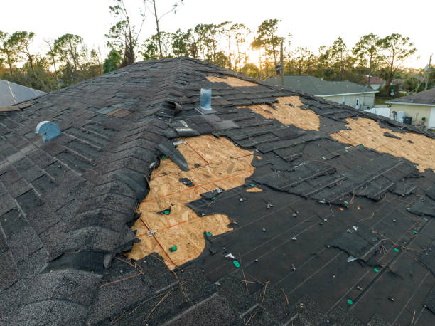 Best Wood Shake Roofing  in Paulding, OH