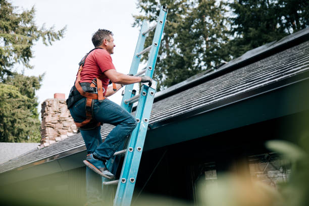 Best Roof Insulation Installation  in Paulding, OH